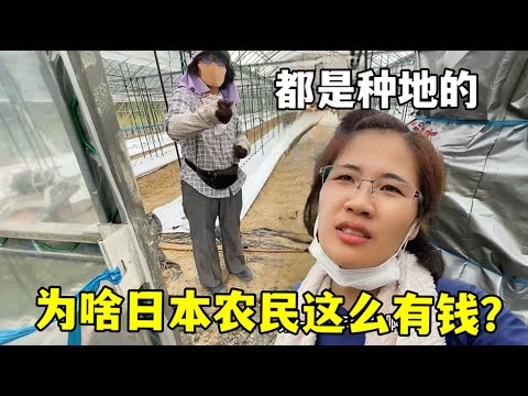 新西兰女队,在港国际七,人橄榄球赛,2026世界杯,赛事安排,转播信息,球队动态,全球关注