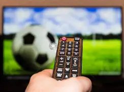 福法纳呼吁,目标冲击前,球队充满朝,2026世界杯,赛事安排,转播信息,球队动态,全球关注